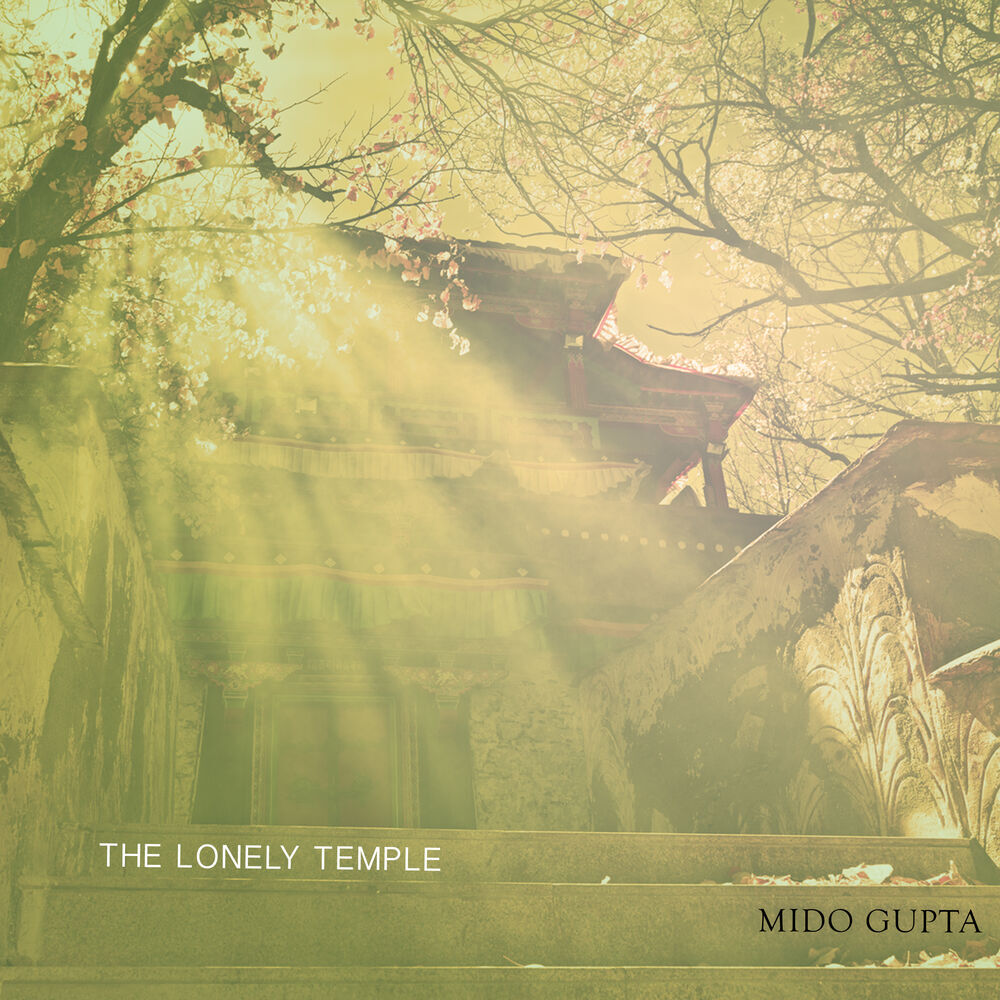 Picture of Mido Gupta