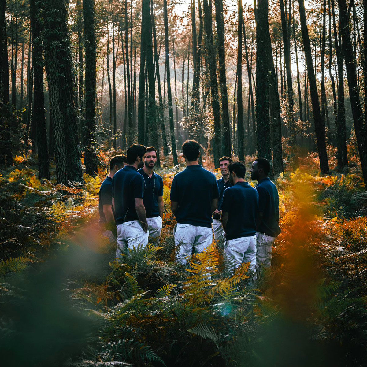 Artist picture of Boulevard des Airs