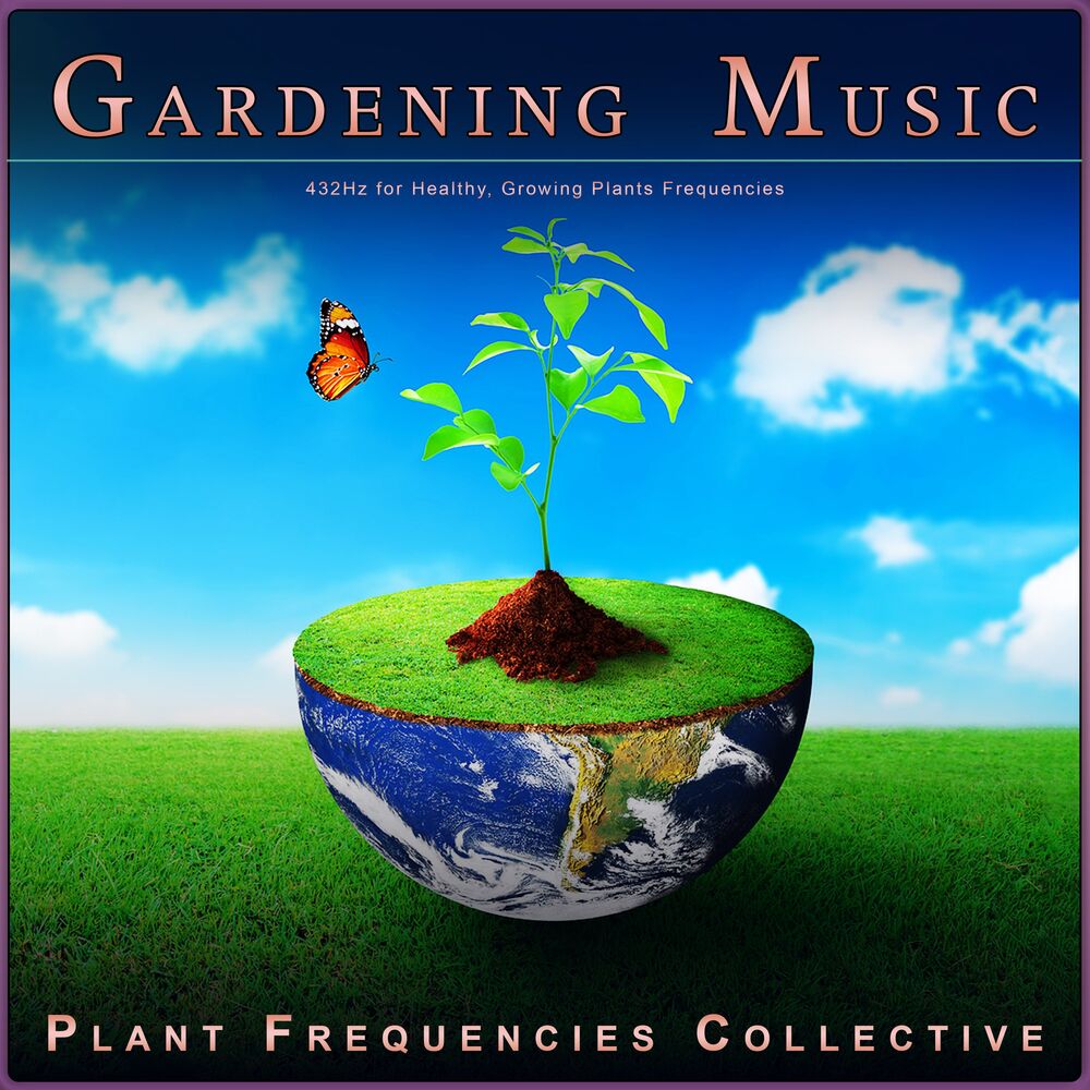 Picture of Plant Frequencies Collective