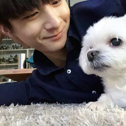 Picture of Sungha Jung