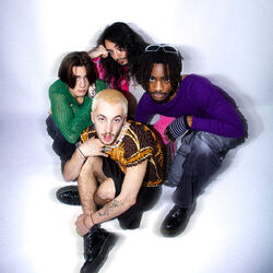 Picture of Web