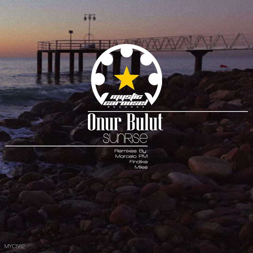 Picture of Onur Bulut