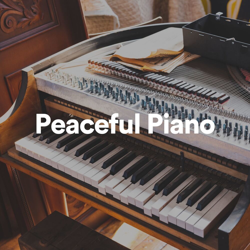 Picture of Piano Sleep