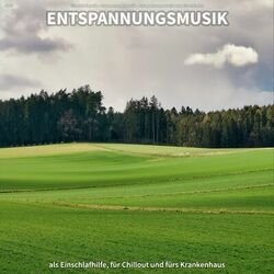 Picture of Entspannungsmusik zum Einschlafen