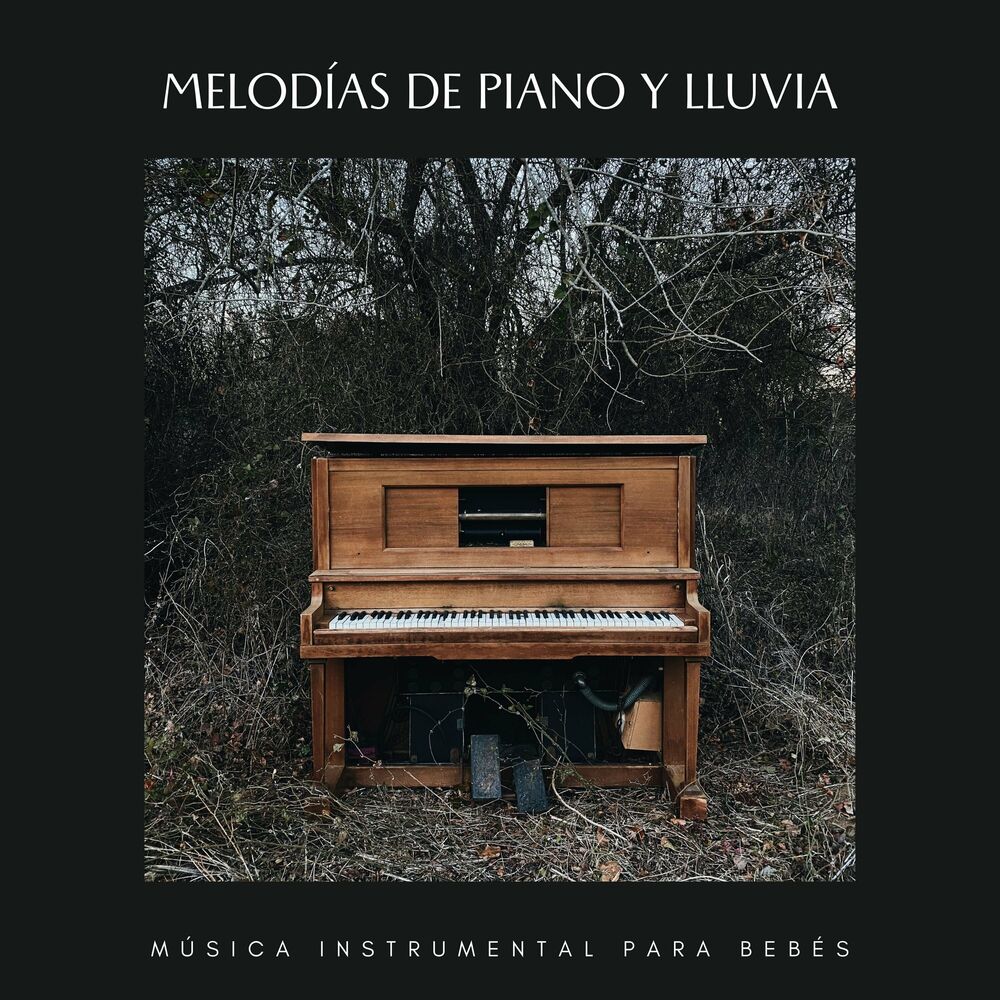 Picture of Relajante Universo de Música de Piano