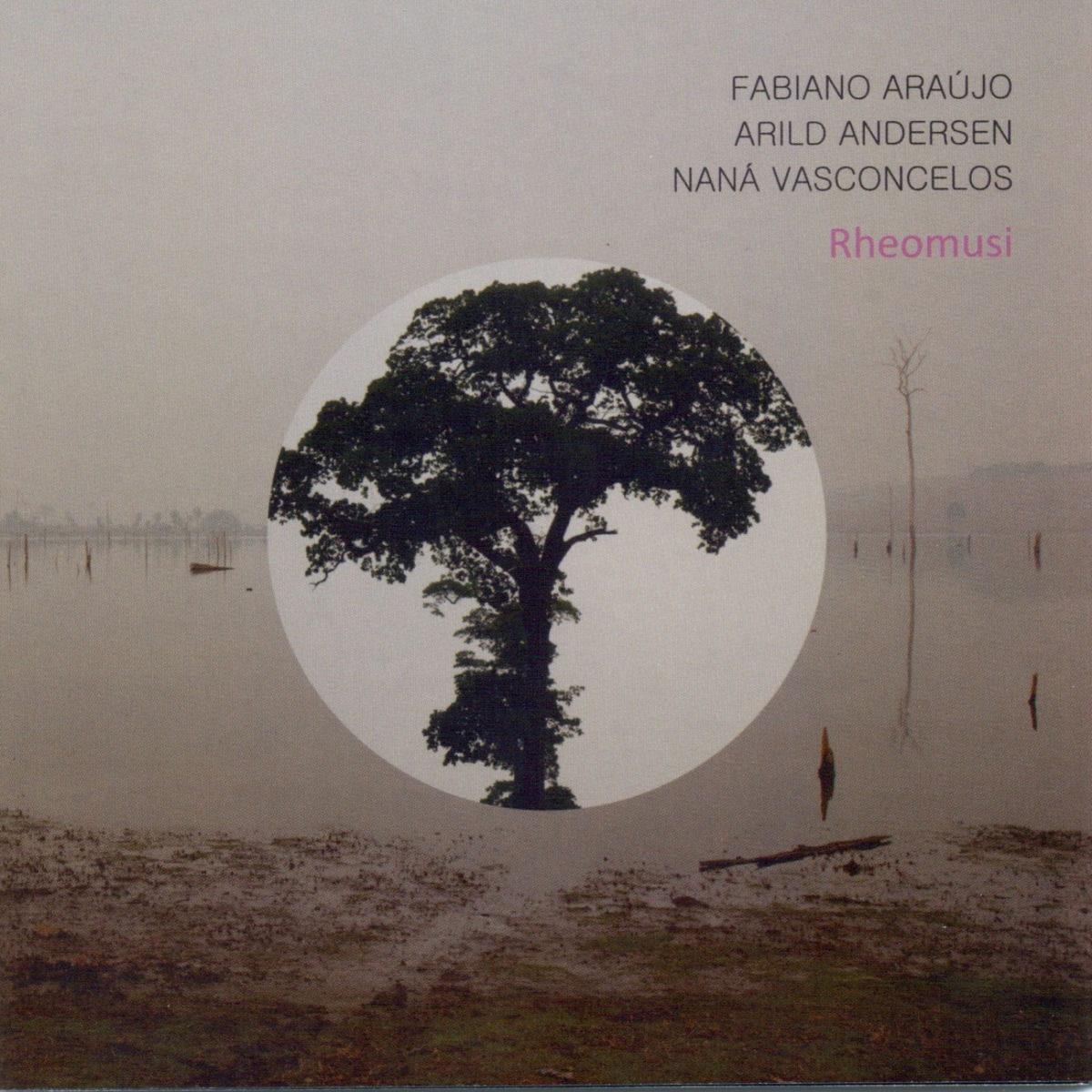 Fabiano Araujo