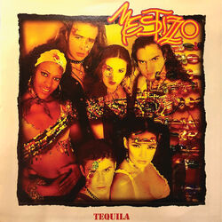 Picture of Mestizzo