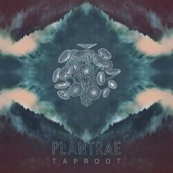 Picture of Plantrae