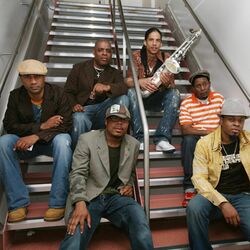 Picture of Mint Condition