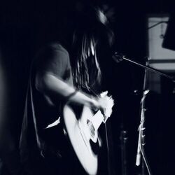 Picture of Bodhi