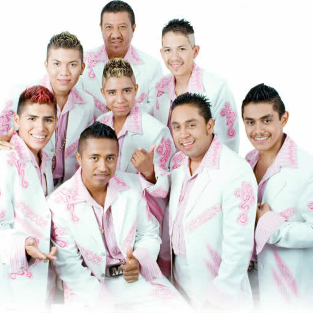 Picture of Los Player's