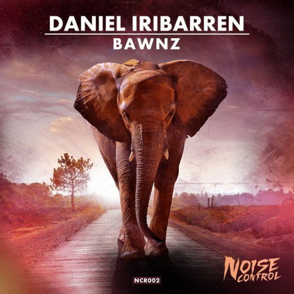 Picture of Daniel Iribarren