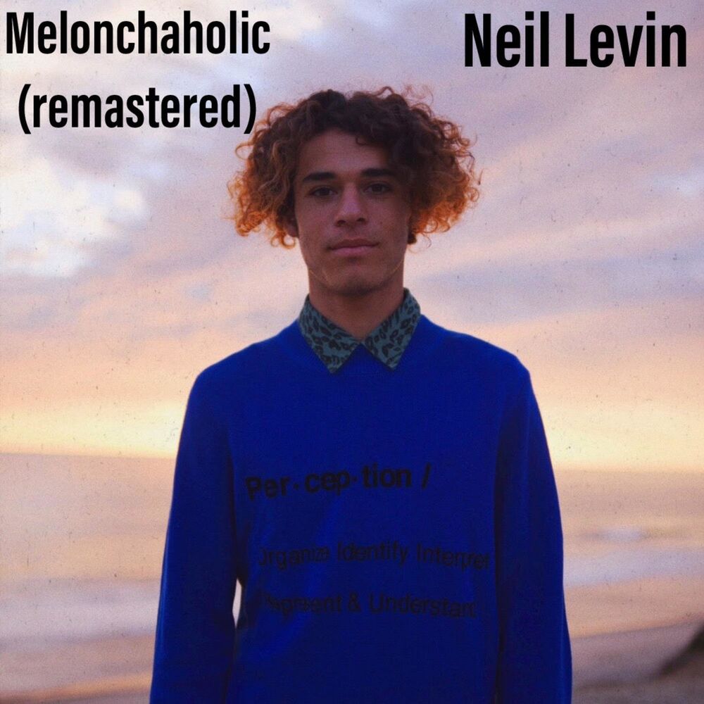 Picture of Neil Levin