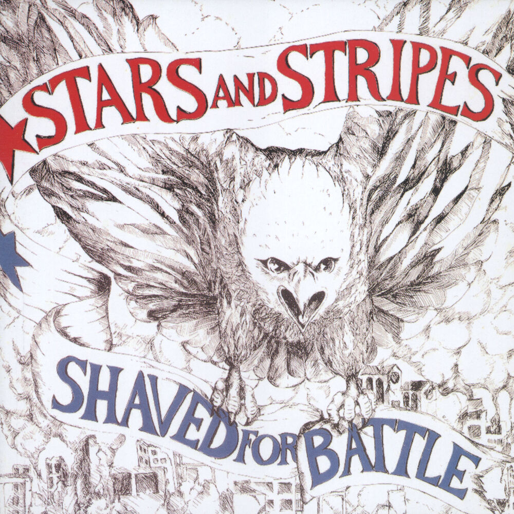 Picture of Stars and Stripes