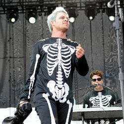 Picture of The Limousines