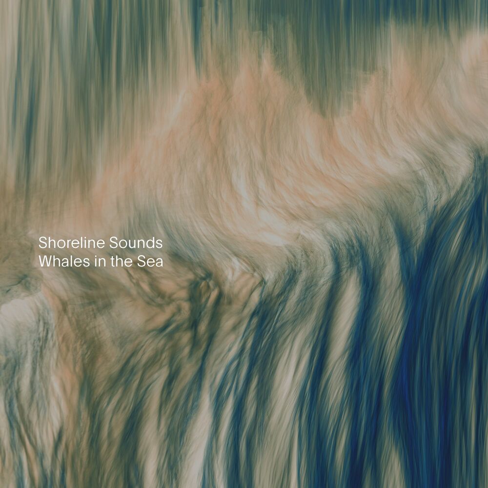 Picture of Shoreline Sounds