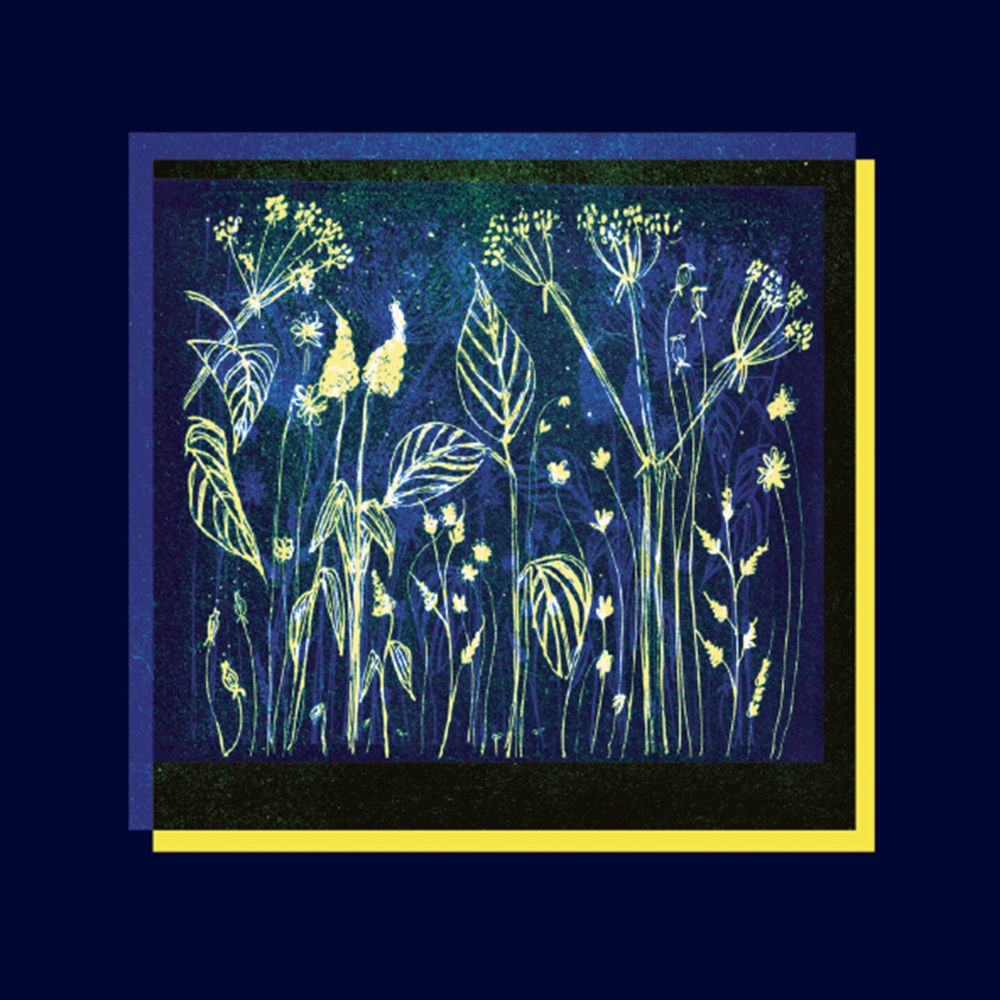 Photo de l'artiste Barrut