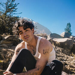 Picture of Joe Jonas