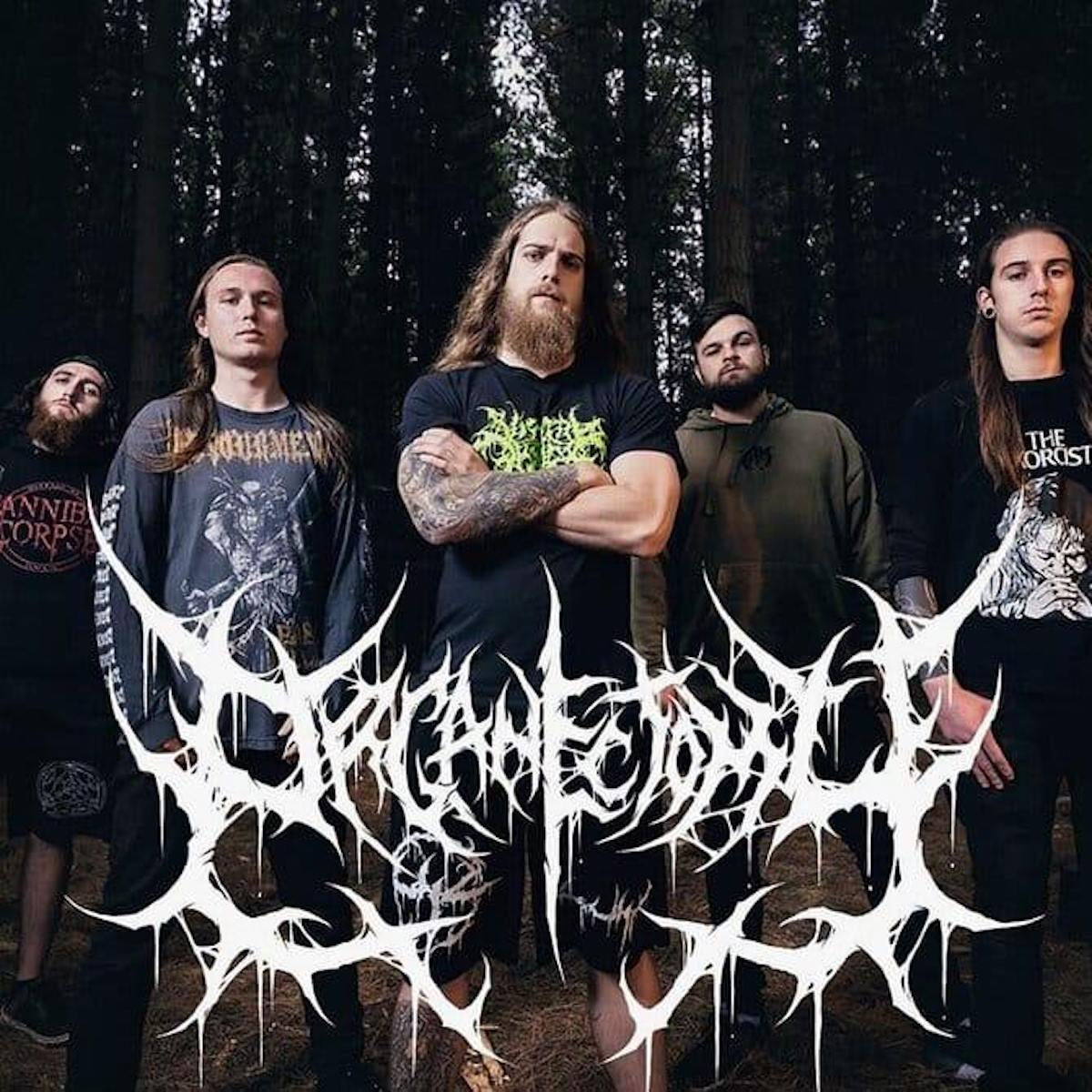 Organectomy