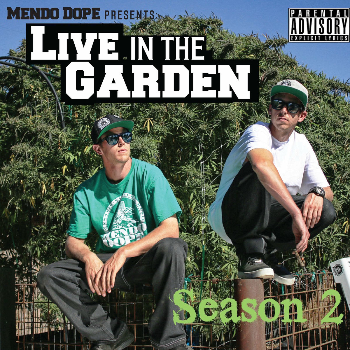 Mendo Dope: albums, songs, concerts | Deezer