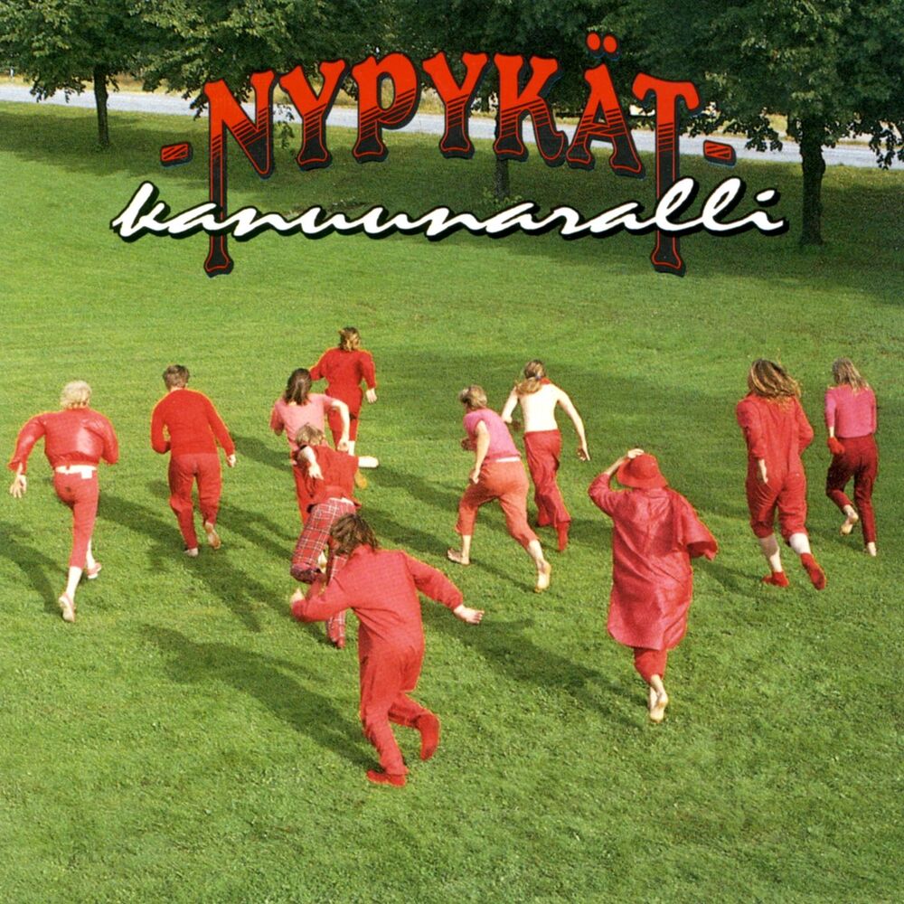 Picture of Nypykät