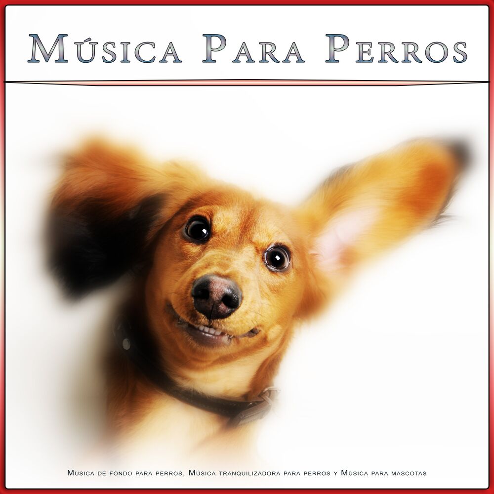Picture of Ansiedad De Los Perros