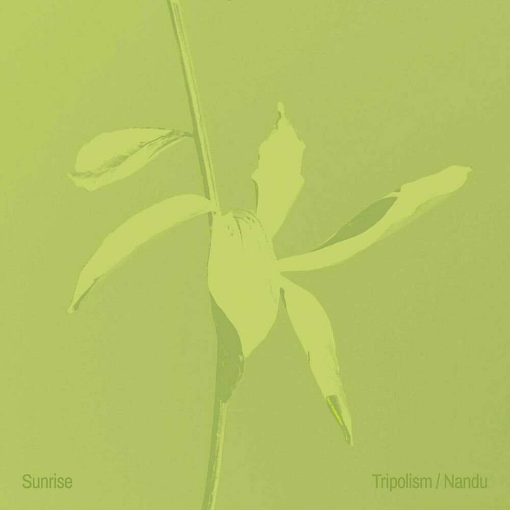 Picture of Tripolism