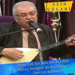 Picture of Aşık Gülabi