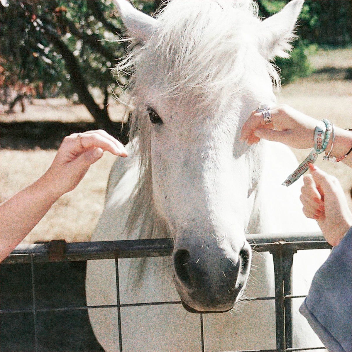 Artist picture of Them & I