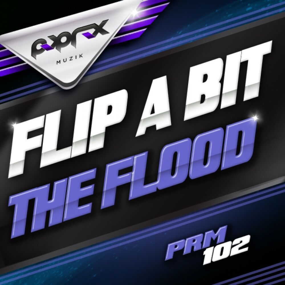 Picture of Flip A Bit