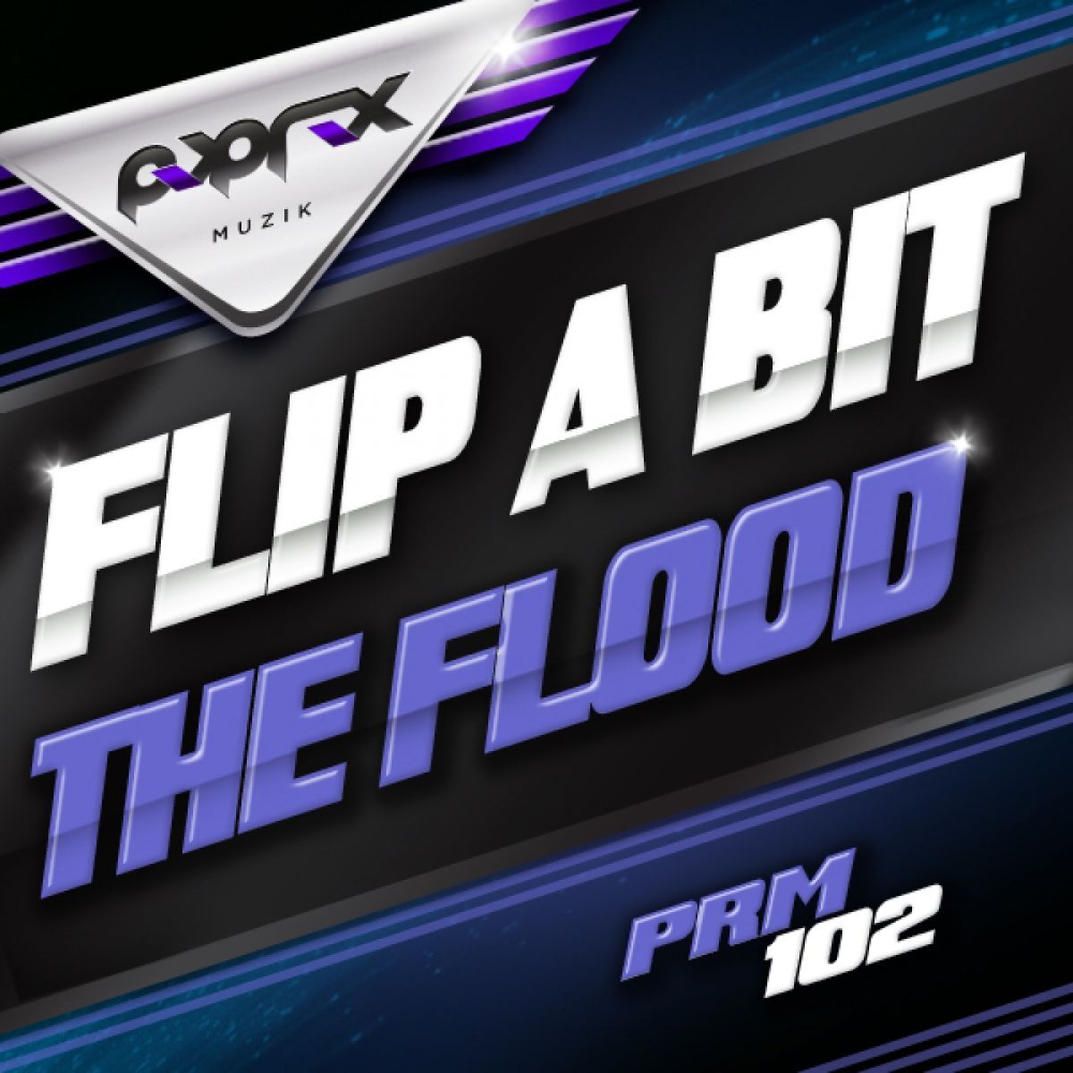 Flip A Bit