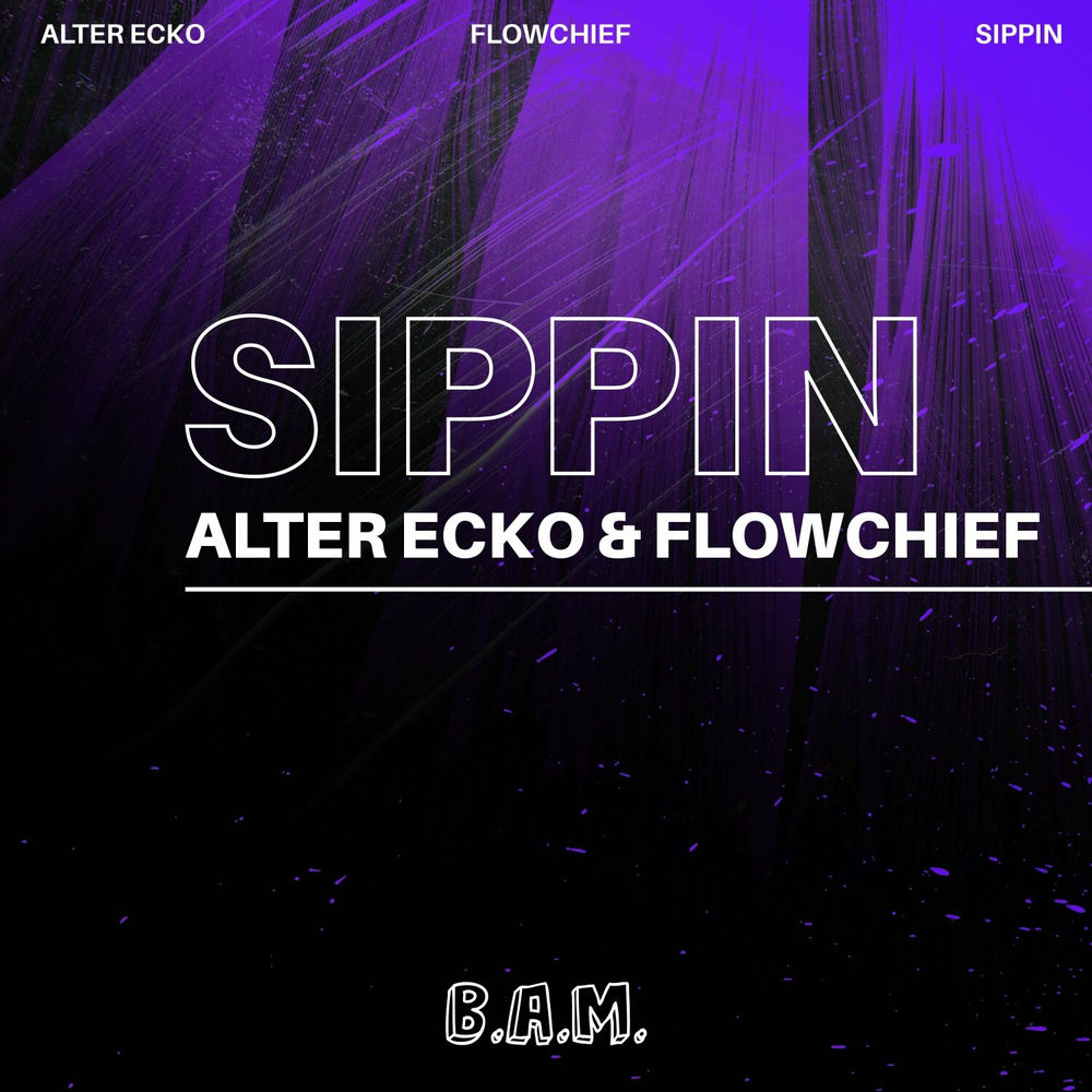 Photo de l'artiste Flowchief