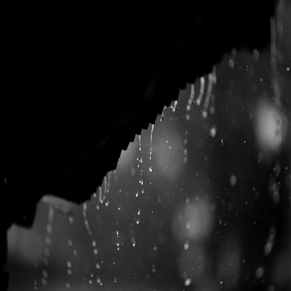 Picture of Fall into Sleep Rain