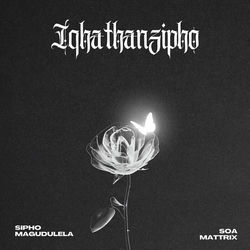 Soa mattrix