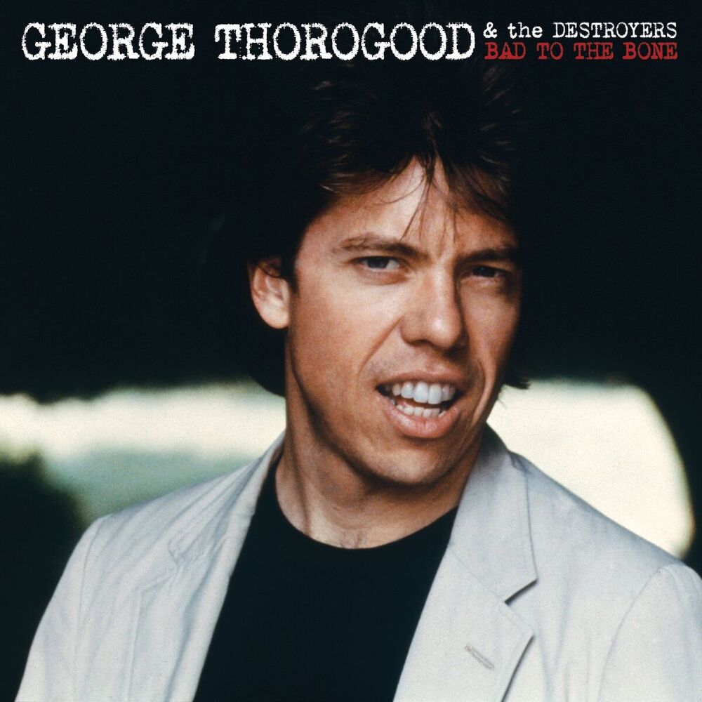 Picture of George Thorogood & The Destroyers