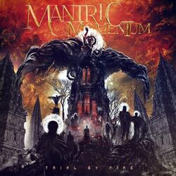 Picture of Mantric Momentum