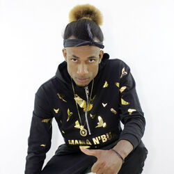 Picture of Mc Tranka Fulha