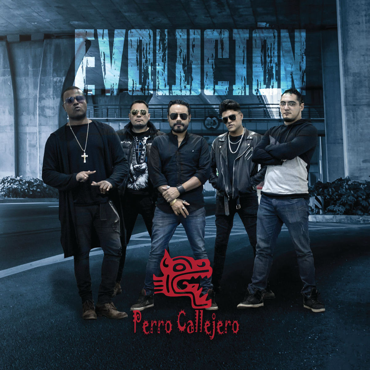 Perro Callejero
