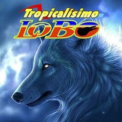 Picture of Tropicalísimo Lobo