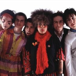 Picture of The Moldy Peaches