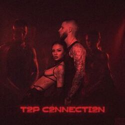 Picture of Trap19 Connection