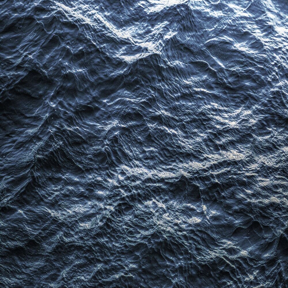 Picture of Blacc Sheep