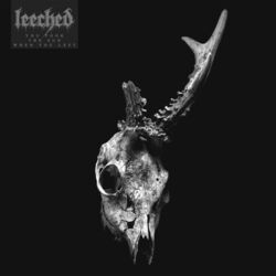 Picture of Leeched