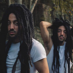 Picture of Mellow Mood