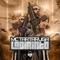 Picture of MC Tartaruga
