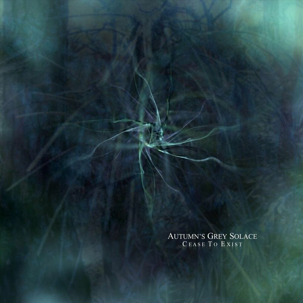 Picture of Autumn's Grey Solace