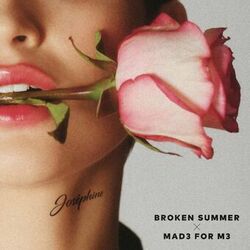Picture of Broken Summer