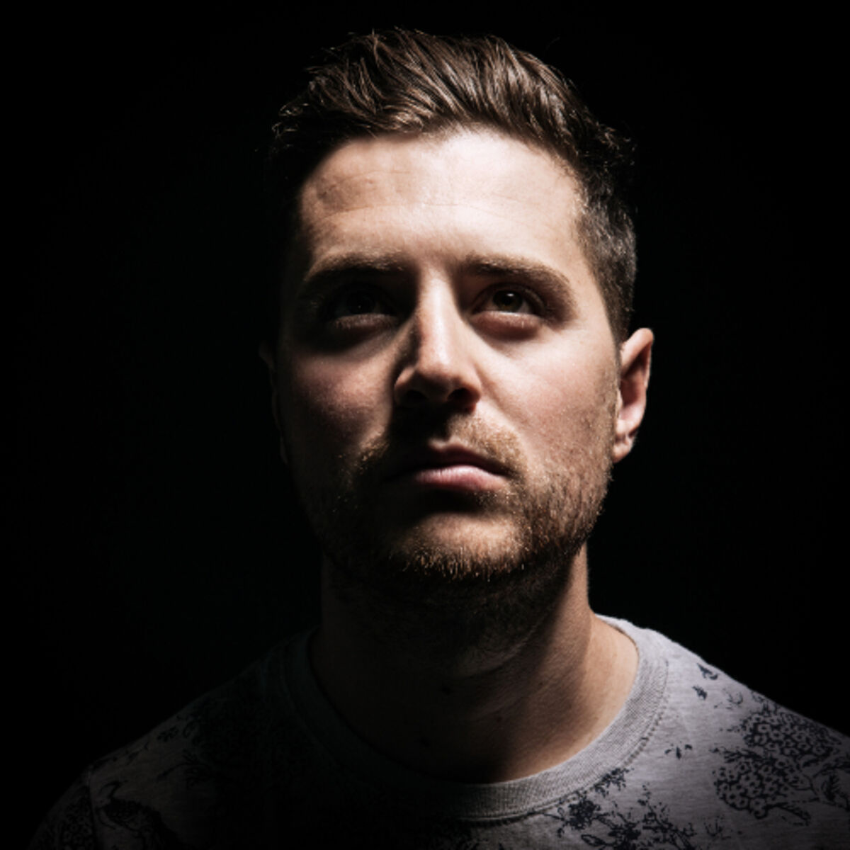 Artist picture of Anile