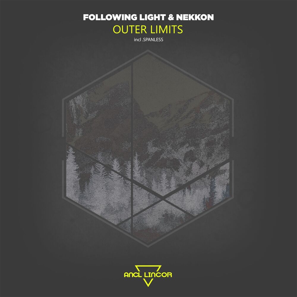 Picture of Following Light