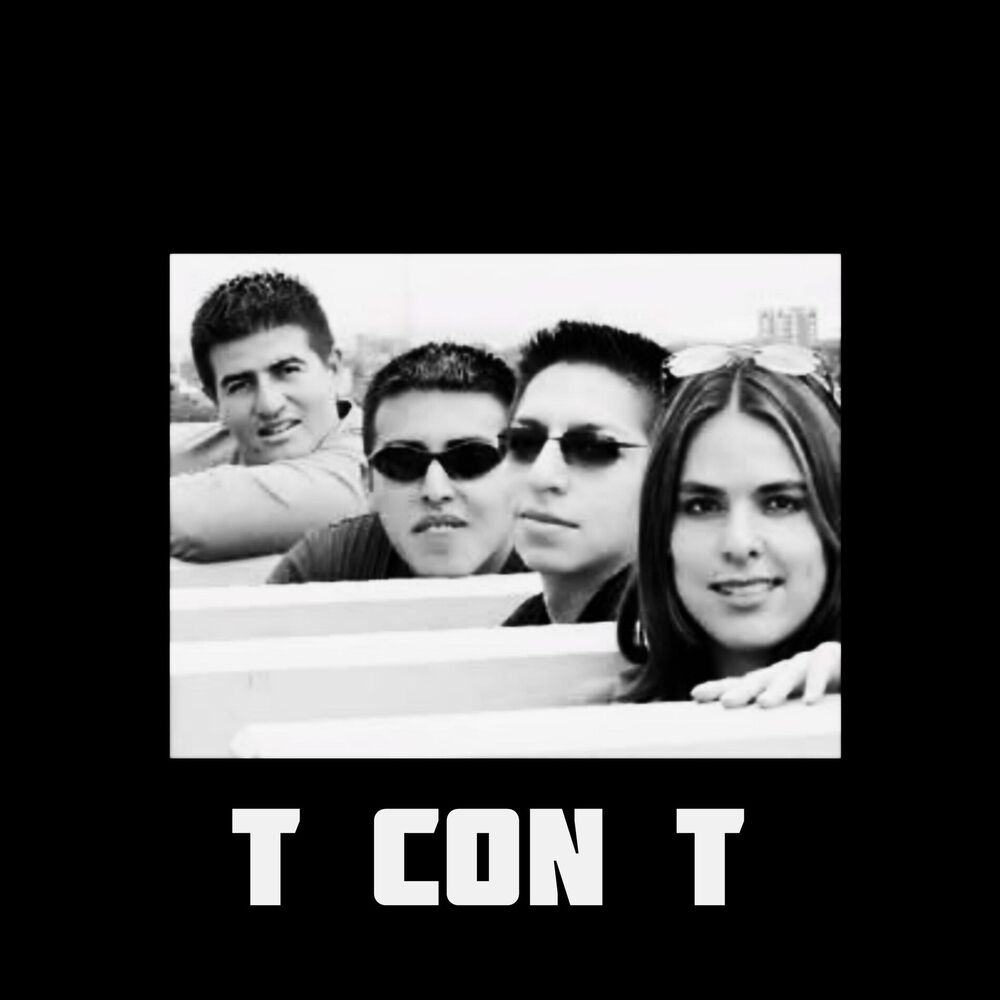 Picture of T con T